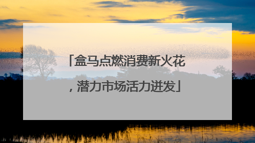盒马点燃消费新火花，潜力市场活力迸发