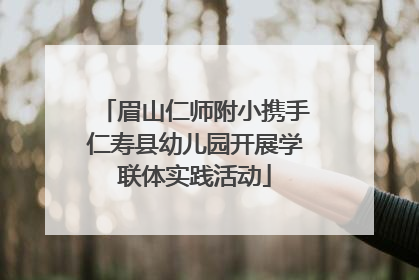 眉山仁师附小携手仁寿县幼儿园开展学联体实践活动