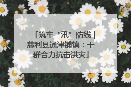 筑牢“汛”防线｜慈利县通津铺镇：干群合力抗击洪灾