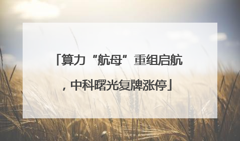 算力“航母”重组启航，中科曙光复牌涨停