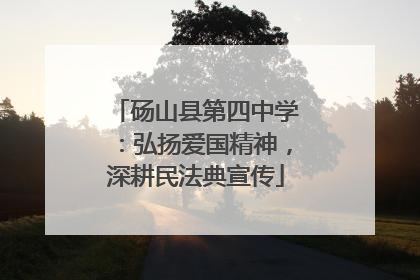 砀山县第四中学：弘扬爱国精神，深耕民法典宣传