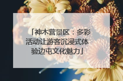 神木营景区：多彩活动让游客沉浸式体验边屯文化魅力