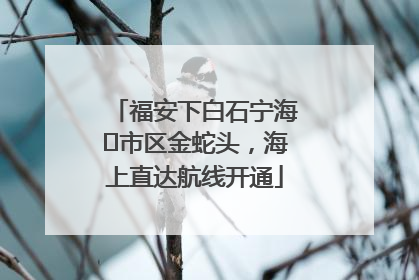 福安下白石宁海⇆市区金蛇头，海上直达航线开通