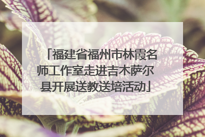 福建省福州市林霞名师工作室走进吉木萨尔县开展送教送培活动