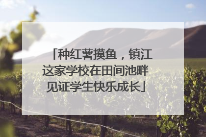 种红薯摸鱼，镇江这家学校在田间池畔见证学生快乐成长