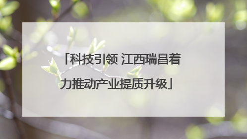 科技引领 江西瑞昌着力推动产业提质升级