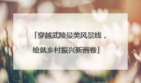 穿越武陵最美风景线，绘就乡村振兴新画卷