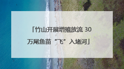竹山开展增殖放流 30万尾鱼苗“飞”入堵河