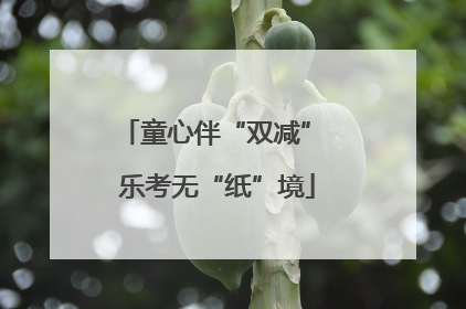 童心伴“双减” 乐考无“纸”境