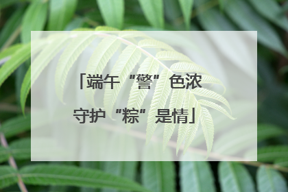 端午“警”色浓 守护“粽”是情