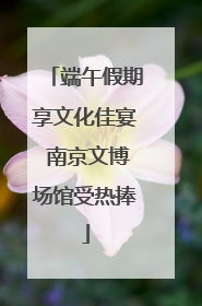端午假期享文化佳宴 南京文博场馆受热捧