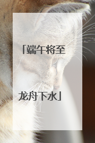 端午将至 龙舟下水