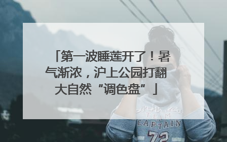 第一波睡莲开了！暑气渐浓，沪上公园打翻大自然“调色盘”