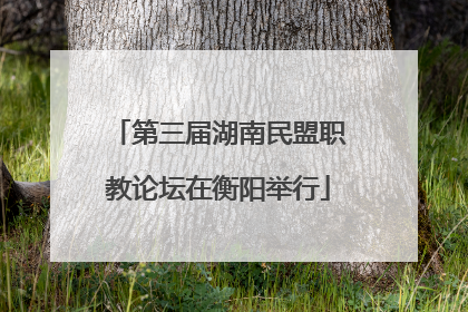 第三届湖南民盟职教论坛在衡阳举行