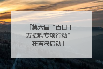 第六届“百日千万招聘专项行动”在青岛启动