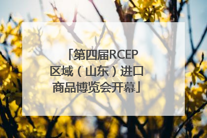 第四届RCEP区域（山东）进口商品博览会开幕