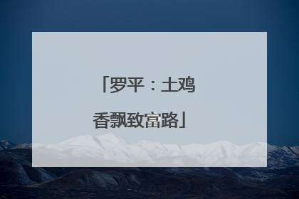 罗平：土鸡香飘致富路