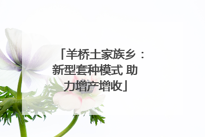 羊桥土家族乡：新型套种模式 助力增产增收