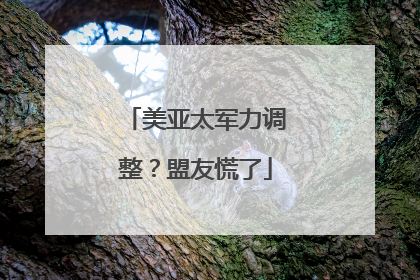 美亚太军力调整？盟友慌了