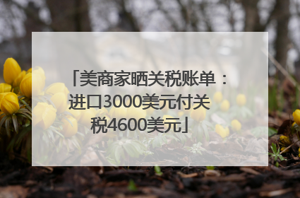 美商家晒关税账单：进口3000美元付关税4600美元