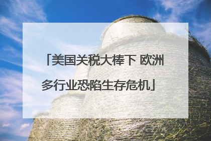 美国关税大棒下 欧洲多行业恐陷生存危机