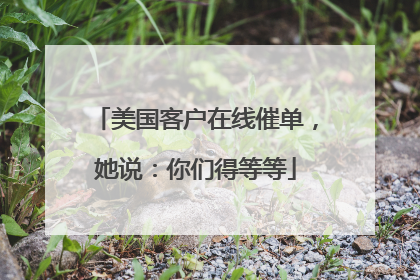 美国客户在线催单，她说：你们得等等