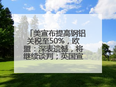 美宣布提高钢铝关税至50%，欧盟：深表遗憾，将继续谈判；英国宣称要建12艘核潜艇；马斯克最新发声：不想为美政府所做的一切承担责任丨早报