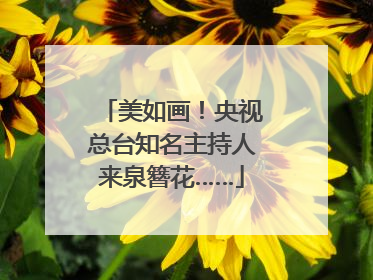 美如画！央视总台知名主持人来泉簪花……