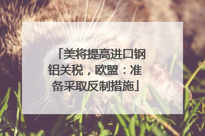 美将提高进口钢铝关税，欧盟：准备采取反制措施