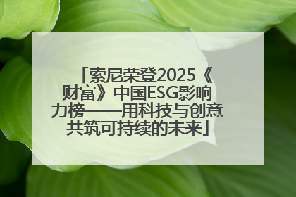 索尼荣登2025《财富》中国ESG影响力榜——用科技与创意共筑可持续的未来