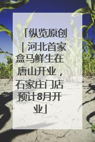 纵览原创｜河北首家盒马鲜生在唐山开业，石家庄门店预计8月开业