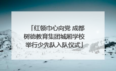 红领巾心向党 成都树德教育集团城厢学校举行少先队入队仪式