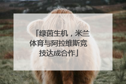 绿茵生机，米兰体育与阿拉维斯竞技达成合作