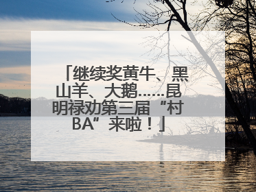 继续奖黄牛、黑山羊、大鹅……昆明禄劝第三届“村BA”来啦！
