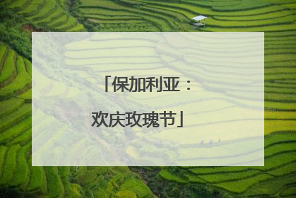 保加利亚：欢庆玫瑰节