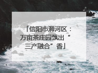 信阳市浉河区：万亩茶庄园飘出“三产融合”香