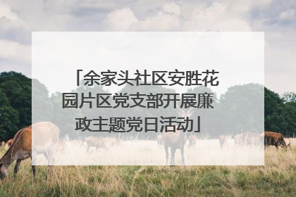 余家头社区安胜花园片区党支部开展廉政主题党日活动