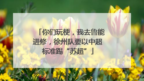 你们玩梗，我去鲁能进修，徐州队要以中超标准踢“苏超”