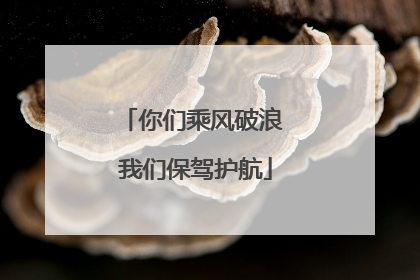 你们乘风破浪 我们保驾护航