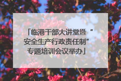 临港干部大讲堂暨“安全生产行政责任制”专题培训会议举办