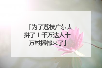为了荔枝广东太拼了！千万达人十万村播都来了