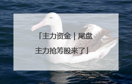 主力资金｜尾盘主力抢筹股来了