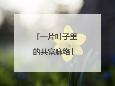 一片叶子里的共富脉络