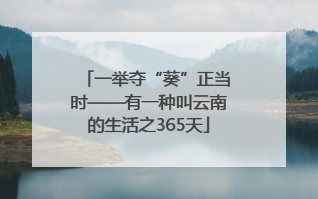 一举夺“葵”正当时——有一种叫云南的生活之365天