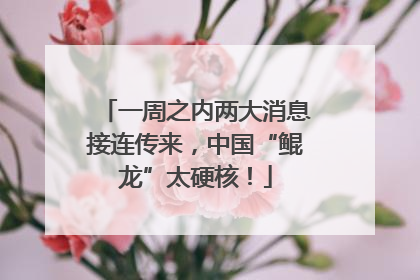 一周之内两大消息接连传来，中国“鲲龙”太硬核！