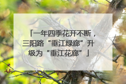 一年四季花开不断，三阳路“垂江绿廊”升级为“垂江花廊”