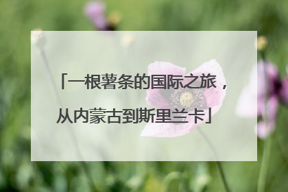 一根薯条的国际之旅，从内蒙古到斯里兰卡