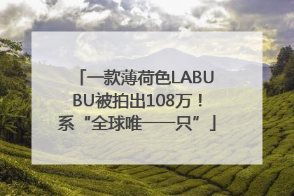 一款薄荷色LABUBU被拍出108万！系“全球唯一一只”