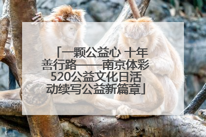 一颗公益心 十年善行路——南京体彩520公益文化日活动续写公益新篇章