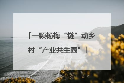 一颗杨梅“链”动乡村“产业共生圈”
